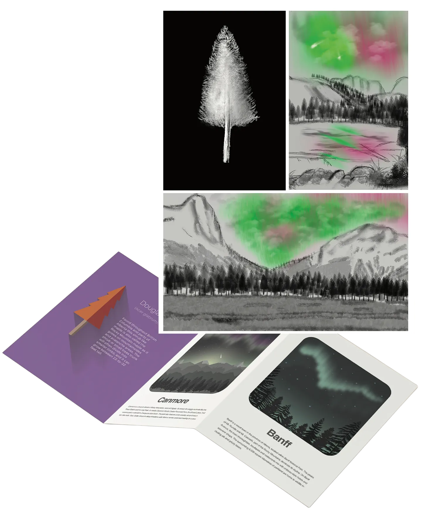 Canmore&Banff Brochure