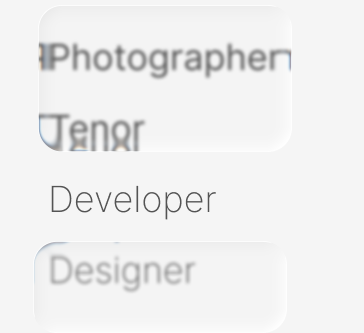 Developer